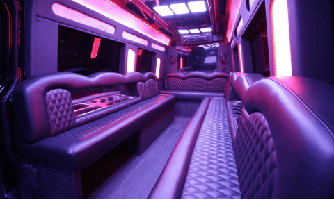 Queen Creek 14 Passenger Sprinter Bus Interior